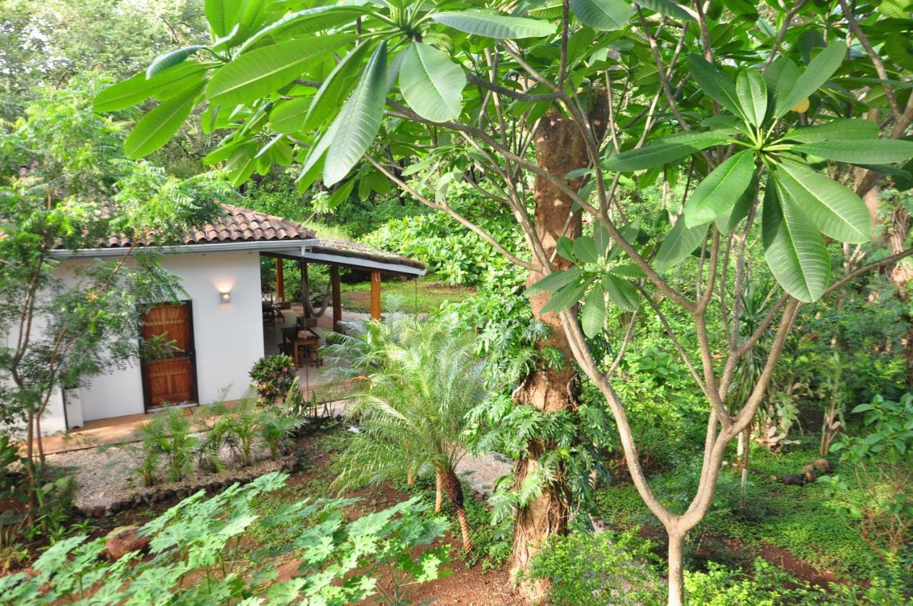 Pazifico Villas Playa Avellana Exterior foto